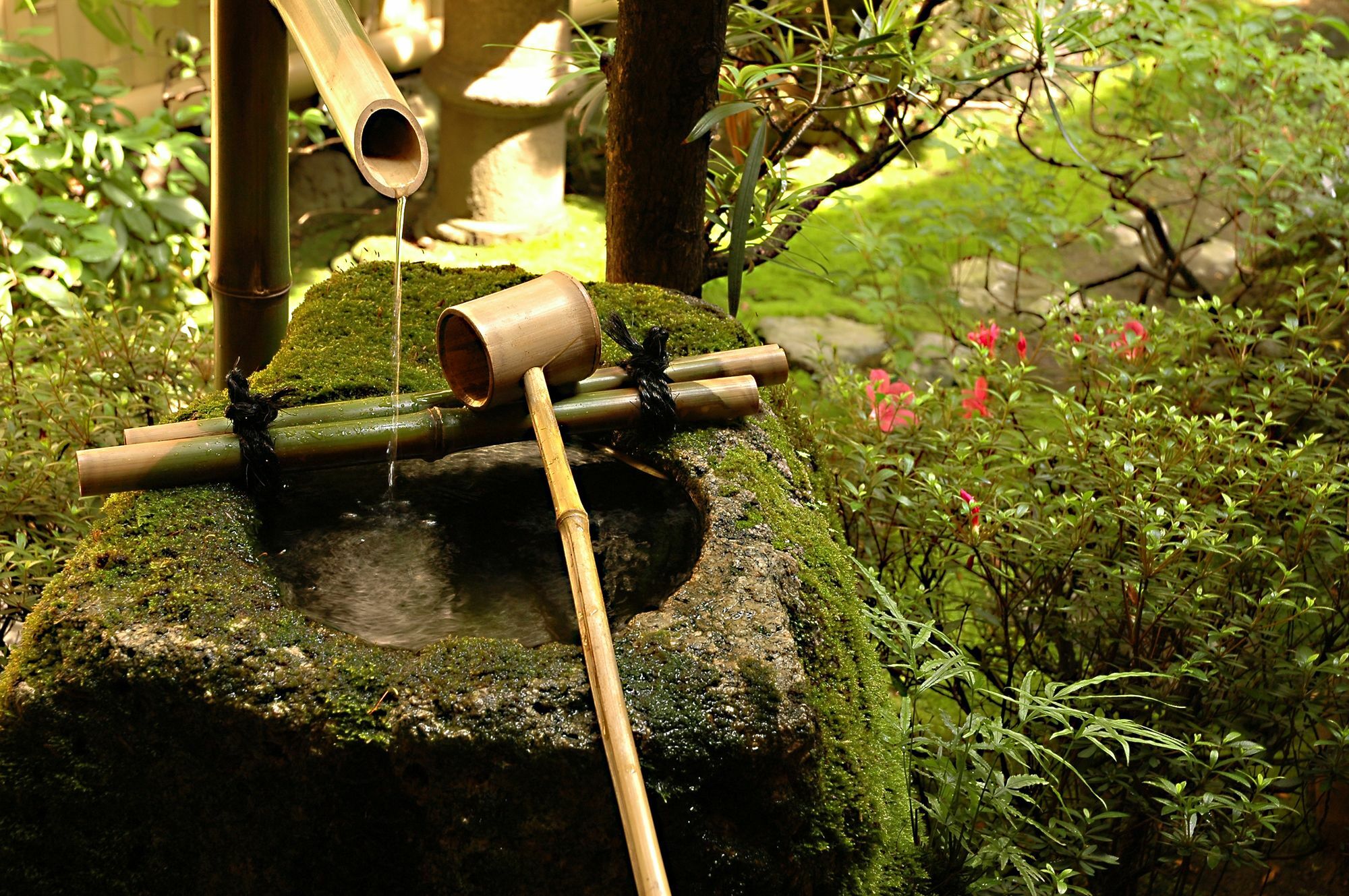 קיוטו Ryokan Motonago מראה חיצוני תמונה